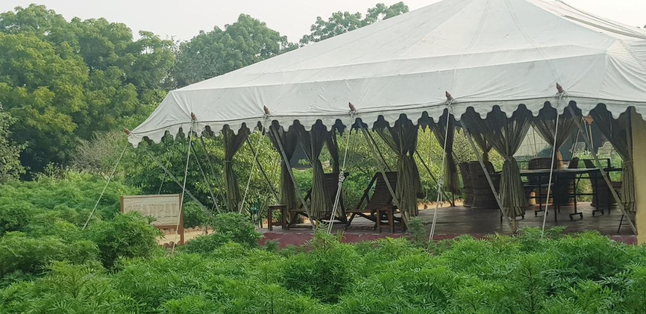 Orchard Tents & Tranquility พุชการ์ ภายนอก รูปภาพ